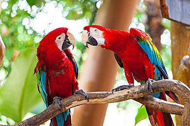 《最终幻想7：重生》制作人北濑佳范是塞尔达系列铁粉 大部分作品都玩过